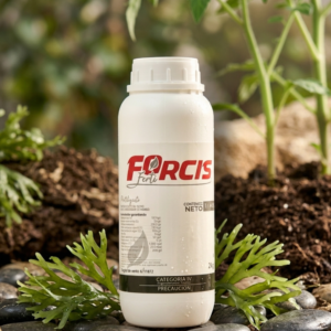 Ferti Forcis