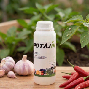 Potajin