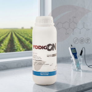 Yodigon